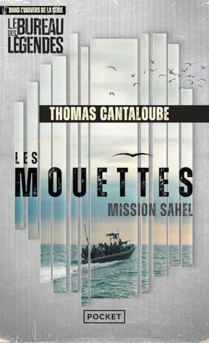 [9782266352970] Mission Sahe