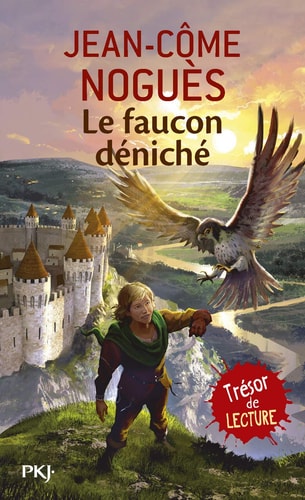 [9782266203579] Le faucon déniché