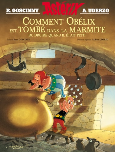 [9782864972129] Comment Obélix est tombé dans la marmite du druide quand il était petit
