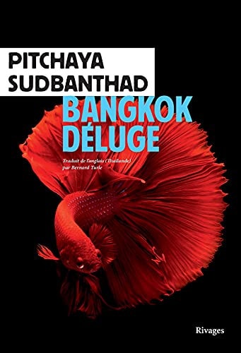 [9782743653682] Bangkok Déluge