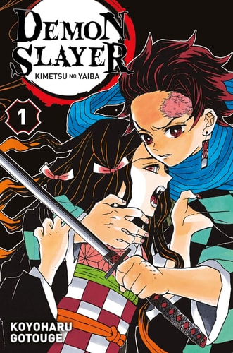 Demon slayer - Tome 1 - Demon slayer