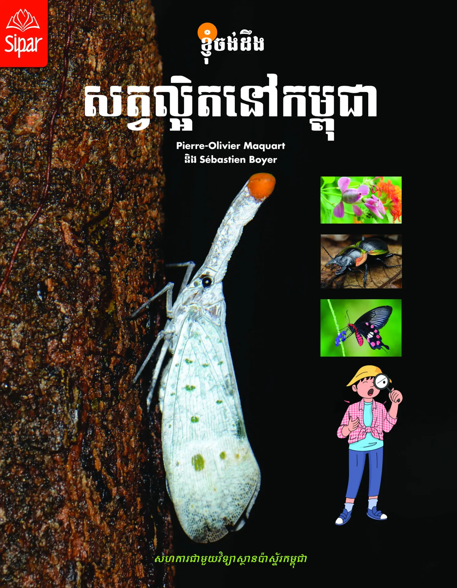 Les insectes du Cambodge