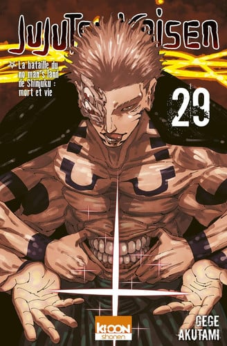 Jujutsu Kaisen - Tome 29