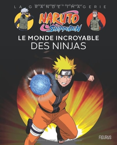 [9782215186236] Naruto Shippuden Le monde incroyable des ninjas