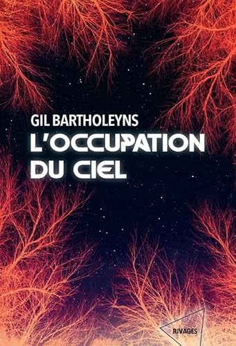 [9782743662424] L'occupation du ciel
